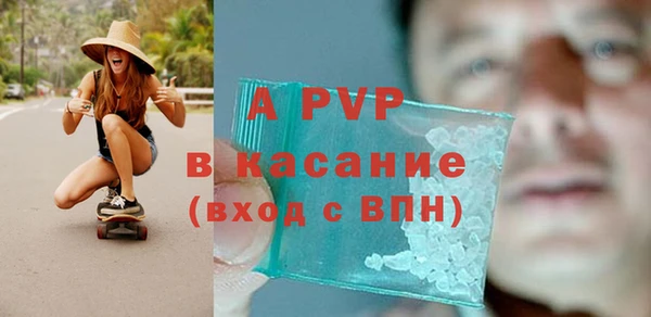 стаф Богданович