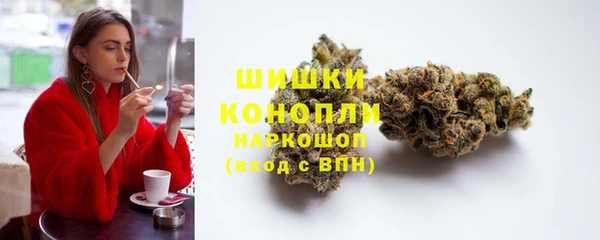 стаф Богданович