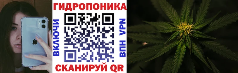 цена наркотик  Невель  Бошки марихуана Ganja 